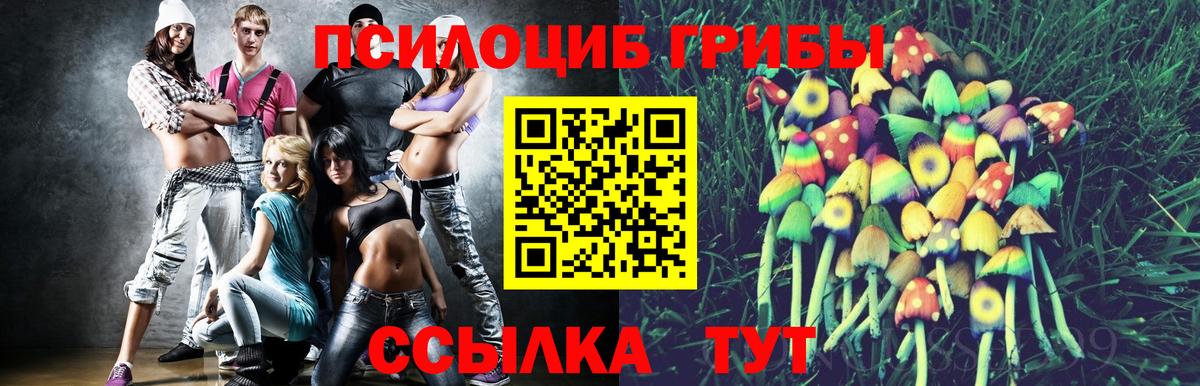Галлюциногенные грибы прущие грибы  Галлюциногенные грибы мицелий  Вход с VPN  Вичуга 