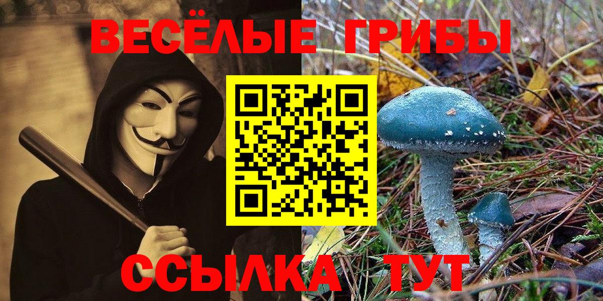 Псилоцибиновые грибы ЛСД Вичуга